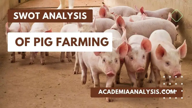 SWOT Analysis of Pig Farming