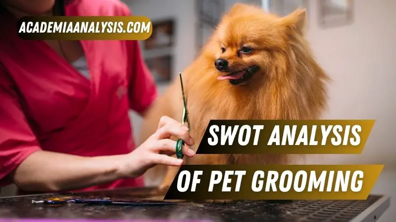 SWOT Analysis of Pet Grooming